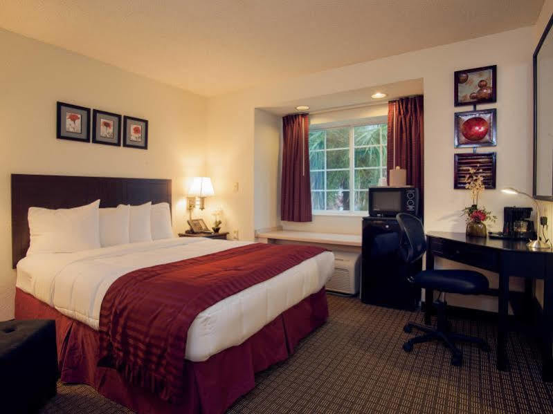 Sleep Inn Jacksonville Airport Extérieur photo